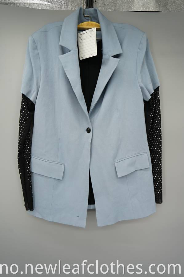 Mesh Sleeve Blazer Jpg